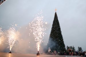 Огни на главной елке Волгограда зажгли в ЦПКиО 24 декабря