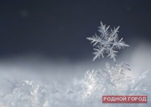 Волгоградских водителей просят быть осторожными