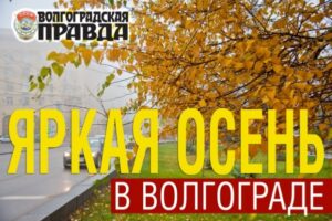 Конкурс фотографий «Яркая осень в Волгограде» подходит к концу: выбираем победителей