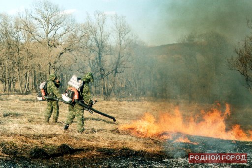 Волгоградской области вновь грозят лесные пожары