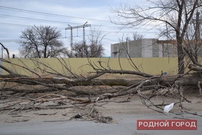 В Волгограде и области наблюдается резкое похолодание