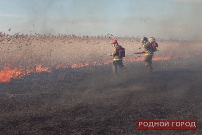 Волгоградская область готовится к сезону пожаров