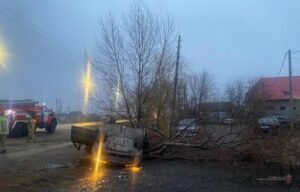 Под Волгоградом ВАЗ врезался в дерево: погиб водитель