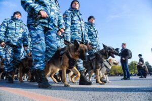 Нарушитель госграницы задержан в Волгоградской области