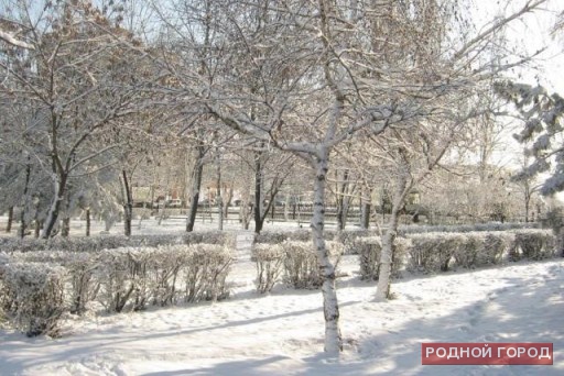 В «Парке Дружбы» в центре Волгограда построят «Снежный город»