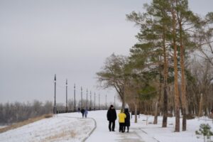 В начале недели волгоградцев ждет метель при легком морозе