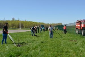 В 36 населенных пунктах Волгоградской области высадили 2700 деревьев Победы