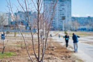 Стала известна погода на новую рабочую неделю в Волгограде