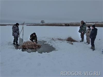 В Волгоградской области рыбу спасают от кислородного голодания