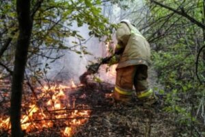 В 13 районах области и Волгограде объявлено экстренное предупреждение