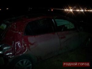 В ДТП на трассе под Волгоградом пострадали лось и 2 человека