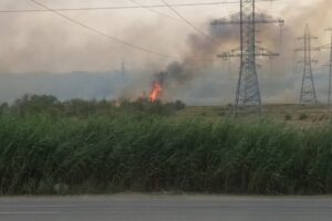 Крупный ландшафтный пожар ликвидировали в Кировском районе Волгограда