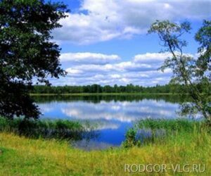 Жители Котельниковского района привели в порядок пляж