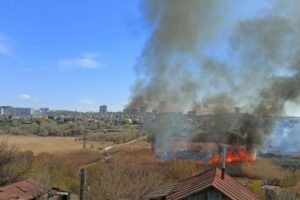 В Краснооктябрьском районе Волгограда пожарные тушат загоревшийся камыш