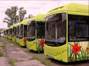 Транспортных маршрутов в Волгограде станет больше для удобства пассажиров