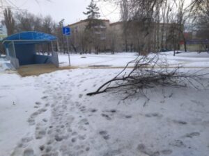 В Волгограде упало дерево рядом с подземным переходом