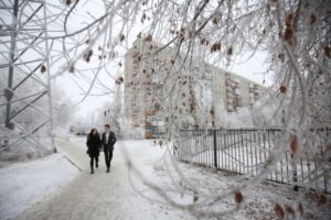 Волгоградцам напомнили о пользе прогулок на свежем воздухе