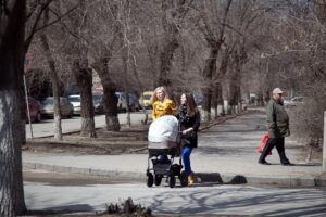 В День матери в Волгоградской области проведут концерты, конкурсы и фестивали