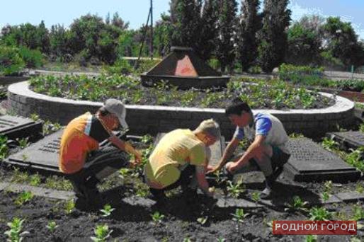 В Волгоградской области школы, вузы и детсады благоустраивают территории