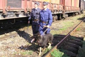 9 декабря – День ведомственной охраны железнодорожного транспорта