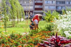 Районы области и Волгограда получат гранты на благоустройство