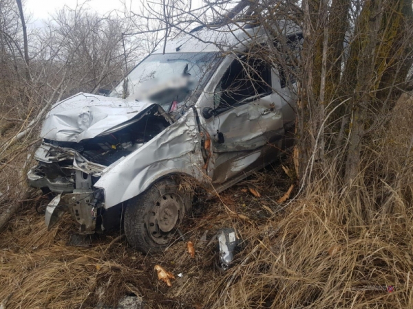 В Волгоградской области автоледи на «Ларгусе» перевернулась в кювет