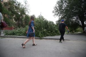 В МЧС предупредили о ливнях с грозами в Волгоградской области до 23 августа