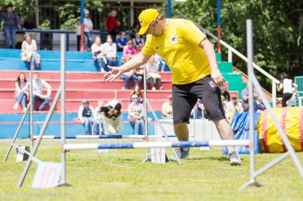 Как юрист освоил кинологический спорт