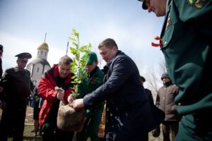 Волгоградская область попала в тройку лидеров конкурса «Лес Победы»