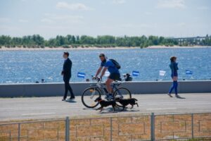 На Первой Продольной в Волгограде появилась новая велодорожка