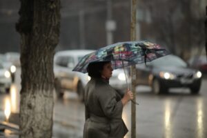 В ближайшие три дня в Волгограде и области будет дождливо и тепло