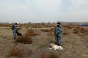 В Волгоградской области пропавшую в хуторе девочку нашли мертвой