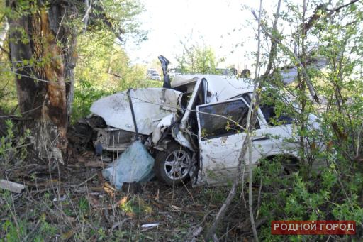 24-летний волгоградец врезался в дерево и погиб