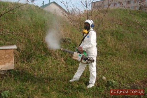 Дезинсекция водоемов началась в Волгоградской области