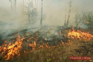 В Волгоградской области существует вероятность пожаров из-за жары и ветра