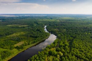 Рядом с Камышином и Дубовкой уровень воды достиг неблагоприятных отметок