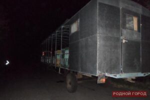 Под Волгоградом DAEWOO столкнулась с пчеловодческим прицепом