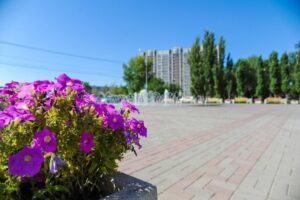 В Волгограде будет ясно, но ветрено