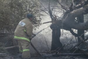 С 4 по 6 сентября в Волгоградской области ожидается чрезвычайная пожароопасность