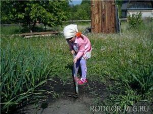 В Волгоградской области дети проводят лето с пользой