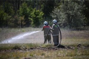 В Волгоградской области из-за сильной жары введен особый противопожарный режим