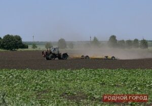 В Волгоградской области засеяно более 268 гектаров зерновых культур