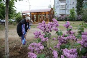 Советы МКД готовы помогать властям благоустраивать дворы Волгограда