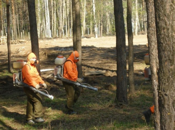 Волгоградцев попросили обходить городские леса стороной