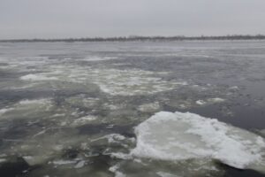 Волгоградский речпорт возобновит перевозку пассажиров на остров Сарпинский с 14 марта