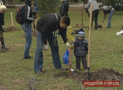 Волгоградцы вместе с губернатором наведут в городе чистоту