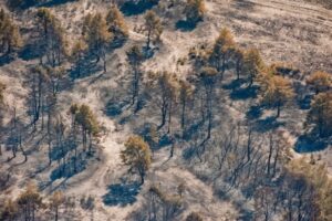 В Волгоградской области сохраняется чрезвычайная пожароопасность