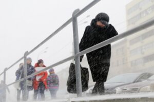 В ближайшие два дня волгоградцев снова ждут снегопад, метель и минусовые температуры