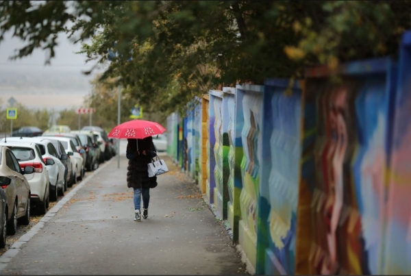 В выходные волгоградцев ожидают дождь, ветер и +8ºС