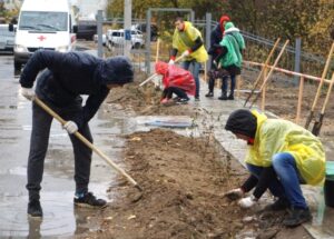 В Волгограде прошла акция «Живи, лес!»